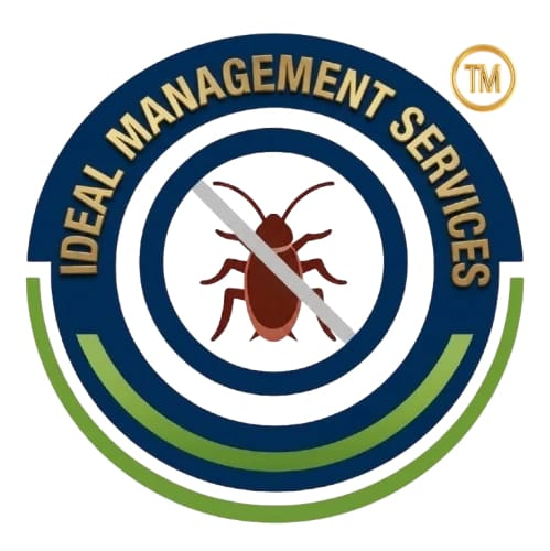 Ideal Management Services Logo